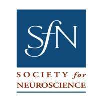 Neuroscience 2022